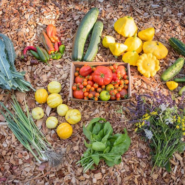 Edible Garden Gallery