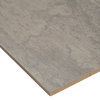 MSI NOXI1224 Oxide - 12" x 24" Rectangle Floor Tile - Matte - Iron