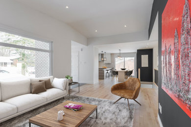 Inspiration for a contemporary living room remodel in Montreal