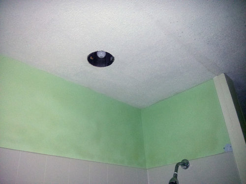 Replacing Shower Recessed Light With, Replace Pot Light With Ceiling Fan