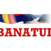 Banatul Ny's photo
