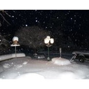Nadia Schwartz's photo