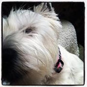 Beth Harris's photo