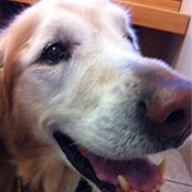 Lori Myszka's photo