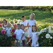 Nancy Kamrath's photo