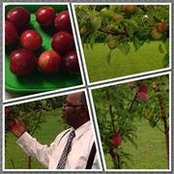 Mylon Burwell's photo