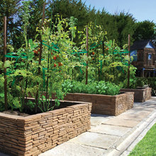 Yard/garden