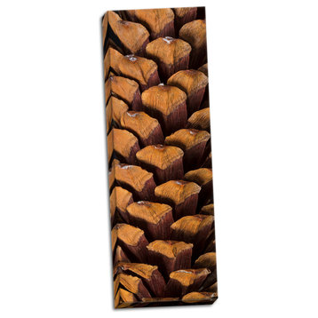 Fine Art Photograph, Pine Cone V, Hand-Stretched Canvas