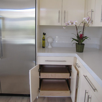 Tiburon, CA Healthy White Kitchen