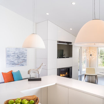 South End Updated Midcentury/Modern Bungalow Staging