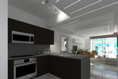 Kitchen photo in Miami