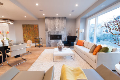 Inspiration for a modern living room remodel in San Francisco