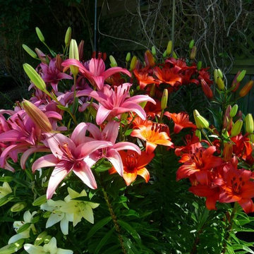 Some of my friends are flowers