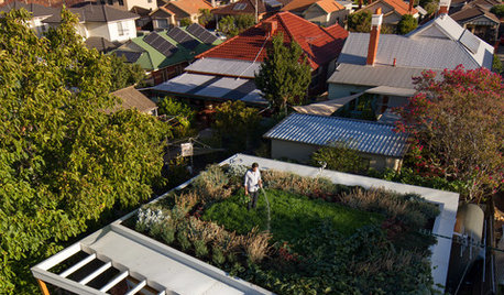 6 Australian Dwellings That Have Gone Green on Top