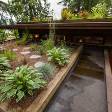 green roof