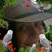 Jeannine Bryant- DuPaw's photo
