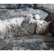 Lyne Goudreau's photo