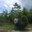 Quality Landscapes & Irrigation