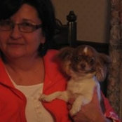 Paulette Murphy's photo