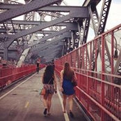 Liz Winokur's photo