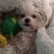 Doris Winfield's photo