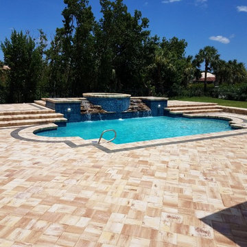 The Penguin Pool