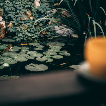 Serene Garden Inspiration