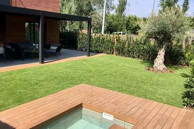 Diseño de acceso privado moderno de tamaño medio en patio delantero con exposición total al sol y entablado