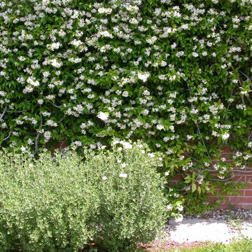 Il giardino delle stagioni