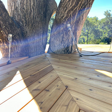 Euphoric Treehouse
