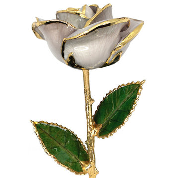 Real Rose Dipped, 24k Gold and Preserved, Lacquer, Pearl White