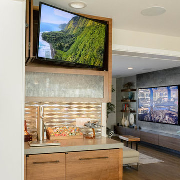 Contemporary Beach Home