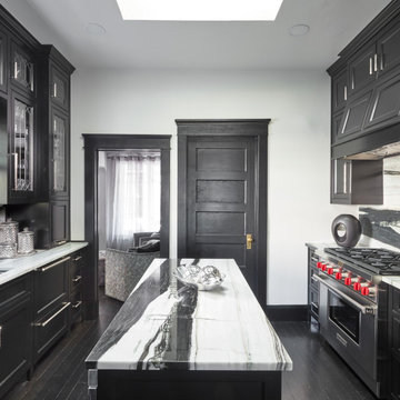 Fantasy Zebra Marble Kitchen Counters