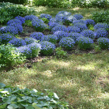 Garten in Blau