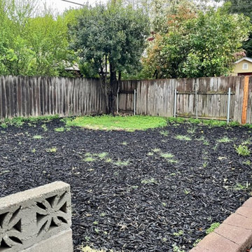 Family focused backyard