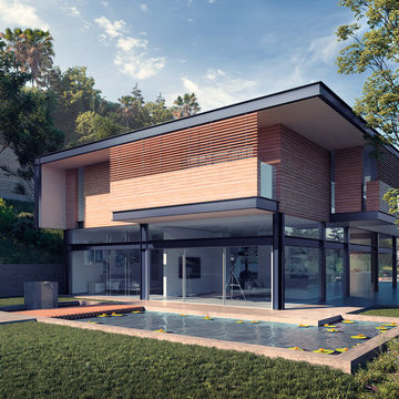 Koi Pond Rendering