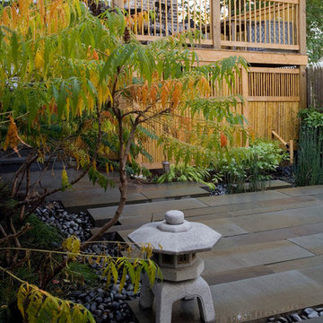 Fall Patio