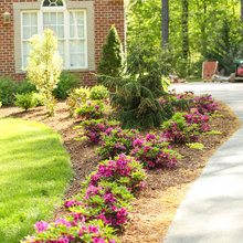 CURB APPEAL...  And architectural touches for landscaping!