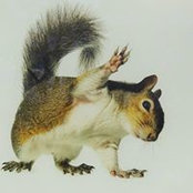 June Wilde's photo