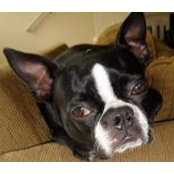 Tracey Mack's photo