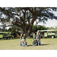 Dowling Tree Service, Inc.