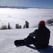 Kevin Traynor's photo