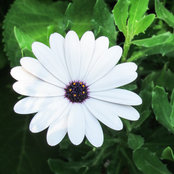 Edna Calypso's photo