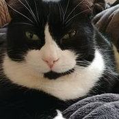 Connie Bechtel's photo