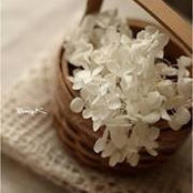 Hoa Dại's photo