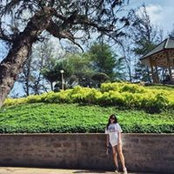 Thanh Thiên's photo