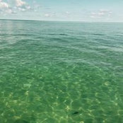 Rolando Reyes's photo