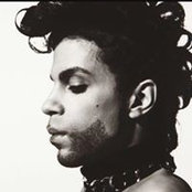 Jacqui Davis's photo