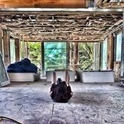 Natalie Tabatabai's photo