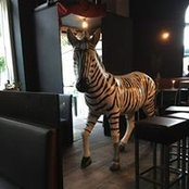 Adam Cox's photo